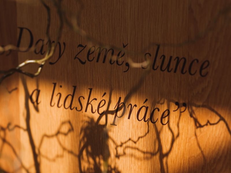 My jsme na příchod jara připraveni. A co vy?