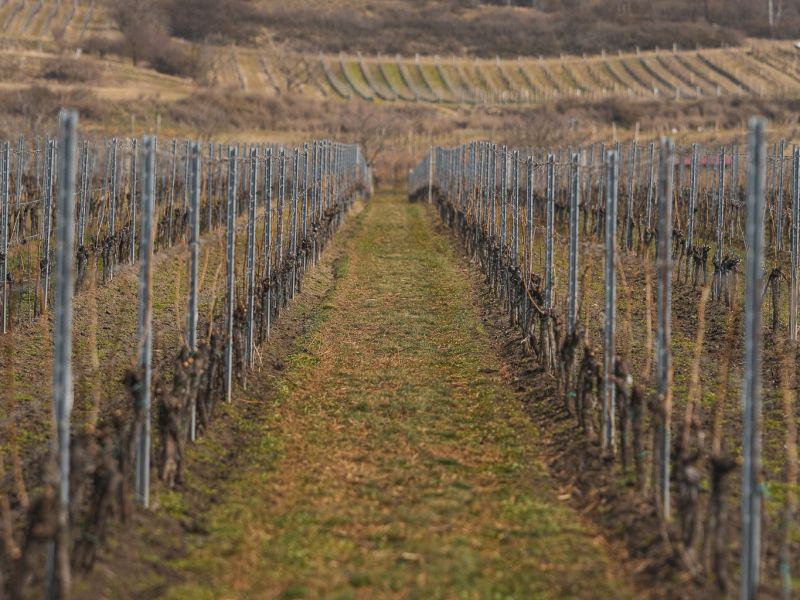 My jsme na příchod jara připraveni. A co vy?